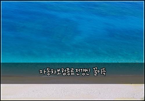 자동차보험종료전갱신 꿀이득