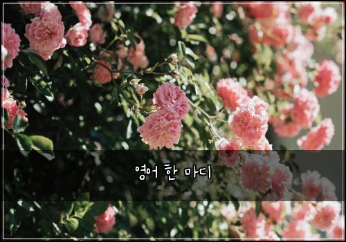영어 한 마디