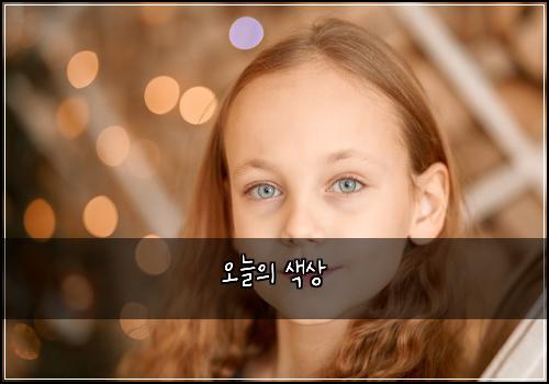 오늘의 색상