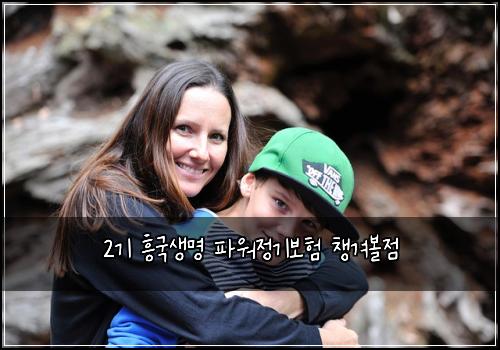 2기 흥국생명 파워정기보험 챙겨볼점 