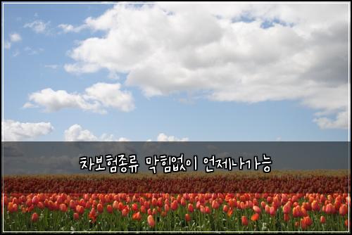 차보험종류 막힘없이 언제나가능