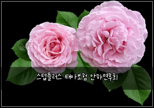 스텝플러스 태아보험 안하면후회 