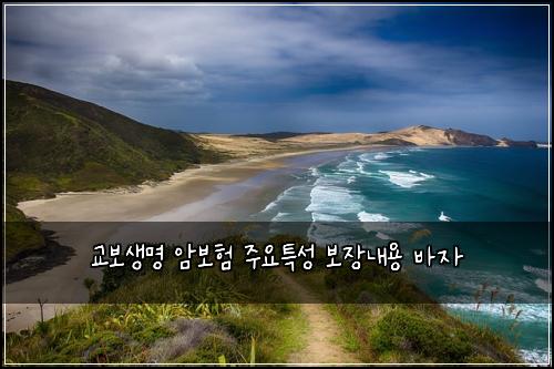 교보생명 암보험 주요특성  보장내용 바자