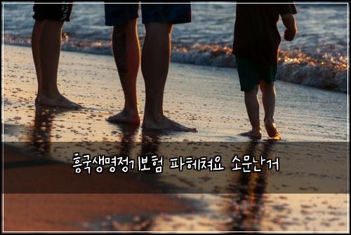 흥국생명정기보험 파헤쳐요  소문난거