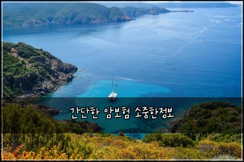 간단한 암보험 소중한정보 