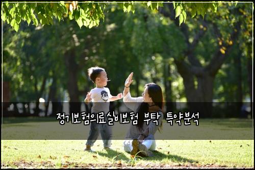 정기보험의료실비보험 부탁 특약분석