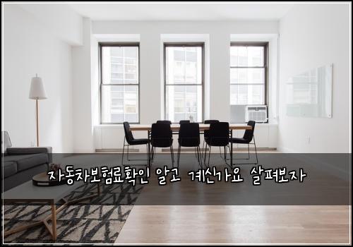 자동차보험료확인 알고 계신가요 살펴보자