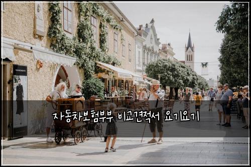 자동차보험부부 비교견적서 요기요기