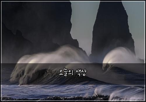 오늘의 색상