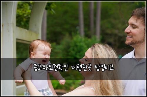 중고차보험확인 저렴한곳 방법비교