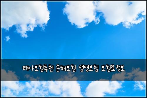태아보험추천 손해보험 생명보험 보험료정보