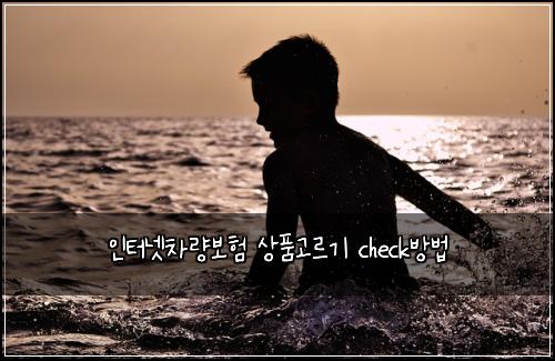 ์ธํฐ๋ท์ฐจ๋๋ณดํ ์ํ๊ณ ๋ฅด๊ธฐ check๋ฐฉ๋ฒ