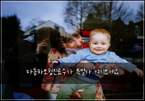 자동차보험진료수가 특별가 여기보세요