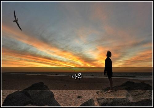 나무