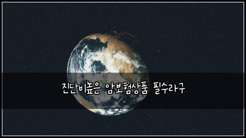 ์ง๋จ๋น๋์ ์๋ณดํ์ํ ํ์๋ผ๊ตฌ