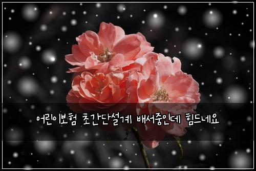 어린이보험 초간단설계  배서중인데 힘드네요