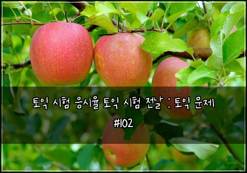 토익 시험 응시율 토익 시험 전날 : 토익 문제 #102