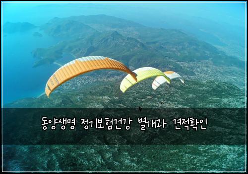 동양생명 정기보험건강 별개과 견적확인