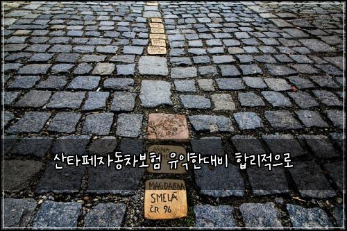 ์ฐํํ์๋์ฐจ๋ณดํ ์ ์ตํ๋๋น ํฉ๋ฆฌ์ ์ผ๋ก