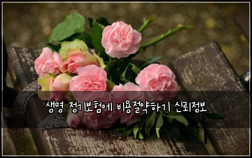 생명 정기보험에 비용절약하기 신뢰정보
