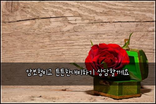 ์๋ณดํ๋น๊ต ํผํผํ๋๋นํ๊ธฐ ์๋ดํ ๊ป์