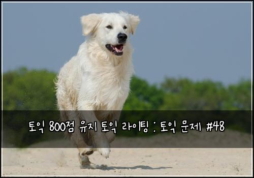 토익 800점 유지 토익 라이팅 : 토익 문제 #48