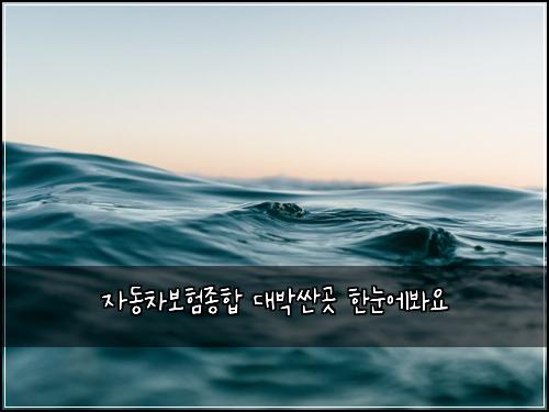 자동차보험종합 대박싼곳 한눈에봐요