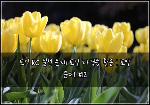 토익 RC 실전 문제 토익 자격증 활용 : 토익 문제 #12