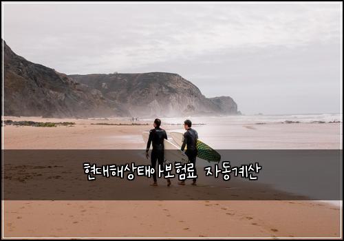 현대해상태아보험료 자동계산