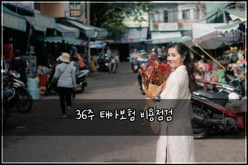 36์ฃผ ํ์๋ณดํ ๋น์ฉ์ ๊ฒ