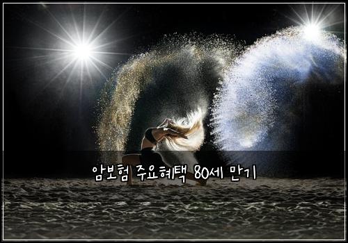 암보험 주요혜택  80세 만기