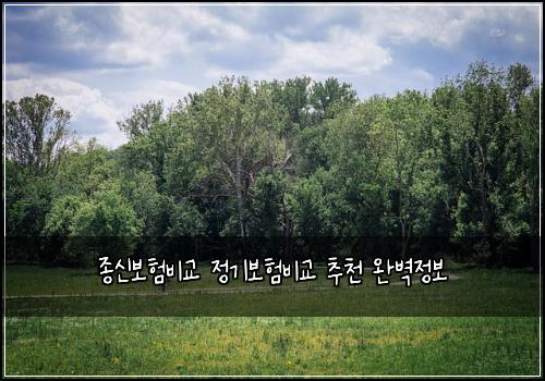 종신보험비교 정기보험비교 추천 완벽정보