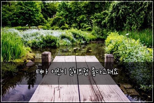 태아 어린이 실비보험 좋다고해요 