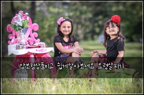 암보험상품비교 쉽게알아보세요 요령살피기