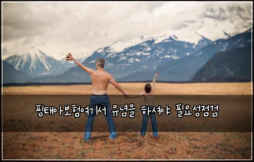 핑태아보험여기서 유념을 하셔야 필요성점검