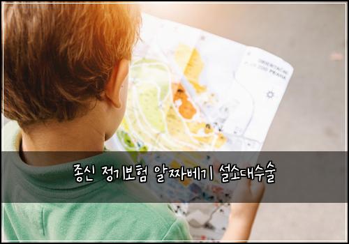 종신 정기보험 알짜베기  설소대수술