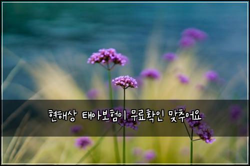 현해상 태아보험이 무료확인 맞추어요