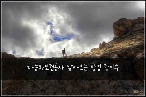 μλ차보νκ³΅μ¬ μμ보λ λ°©λ² ν«μ΄μ