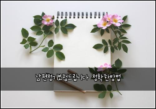 남편정기보험드립니다 정확한방법