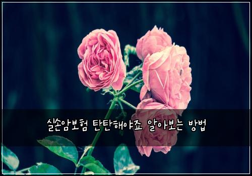 실손암보험 탄탄해야죠  알아보는 방법