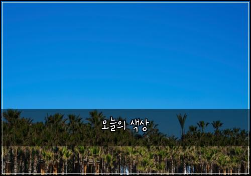 오늘의 색상