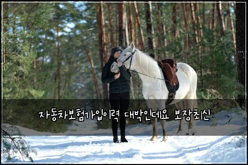 ์๋์ฐจ๋ณดํ๊ฐ์
์ด๋ ฅ ๋๋ฐ์ธ๋ฐ์ ๋ณด์ฅ์ต์