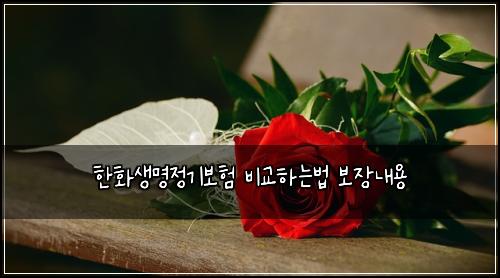 한화생명정기보험 비교하는법  보장내용
