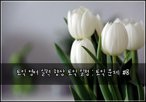 토익 영어 실력 향상 토익 일정 : 토익 문제 #8