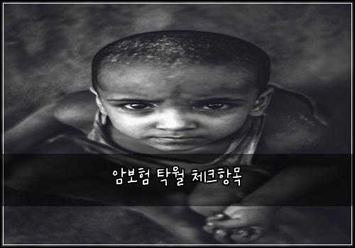 암보험 탁월  체크항목
