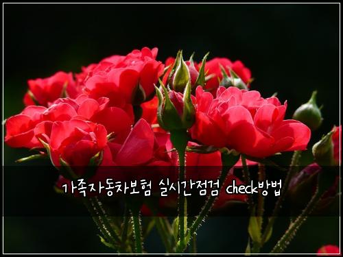 ๊ฐ์กฑ์๋์ฐจ๋ณดํ ์ค์๊ฐ์ ๊ฒ check๋ฐฉ๋ฒ