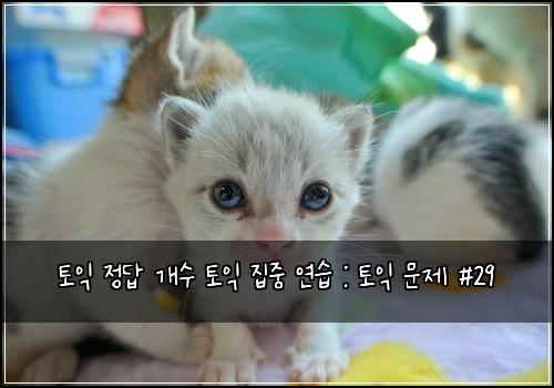 토익 정답 개수 토익 집중 연습 : 토익 문제 #29