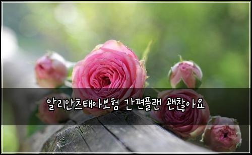 알리안츠태아보험 간편플랜  괜찮아요
