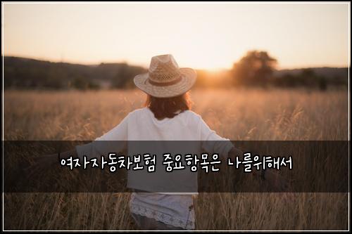 ์ฌ์์๋์ฐจ๋ณดํ ์ค์ํญ๋ชฉ์ ๋๋ฅผ์ํด์