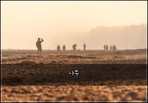나무